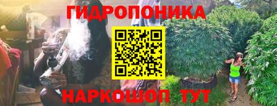 прущие крисы Ногинск