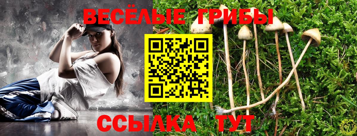купить наркоту  Галлюциногенные грибы ЛСД  Вход с VPN  Галлюциногенные грибы мухоморы  Белебей 