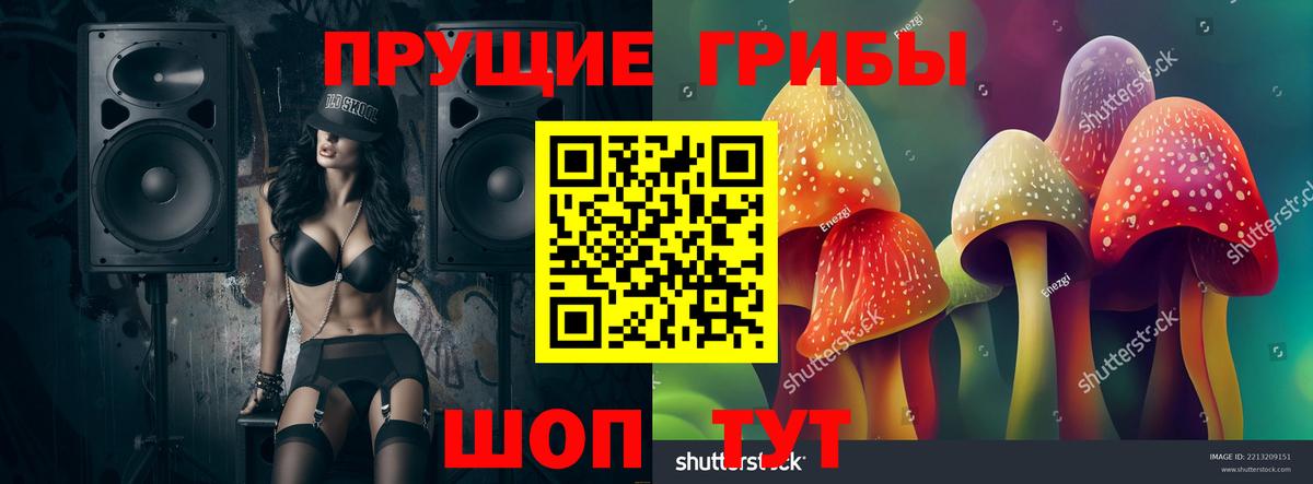 Галлюциногенные грибы Cubensis Белебей